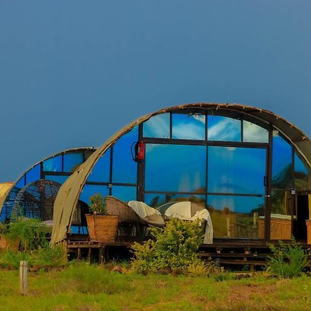 Amanya 2-Rooms Lioness Family Amboseli Exterior foto