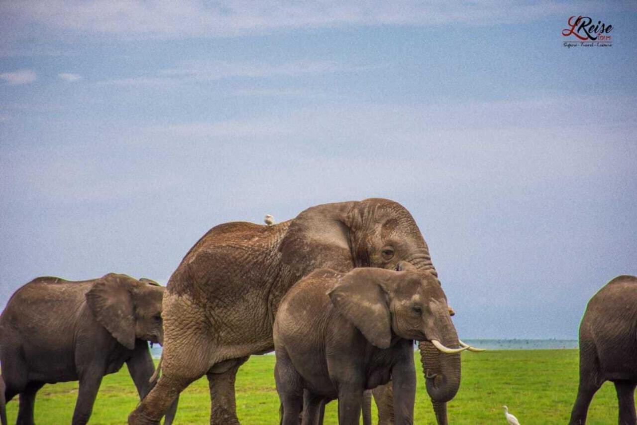 Amanya 2-Rooms Lioness Family Amboseli Exterior foto